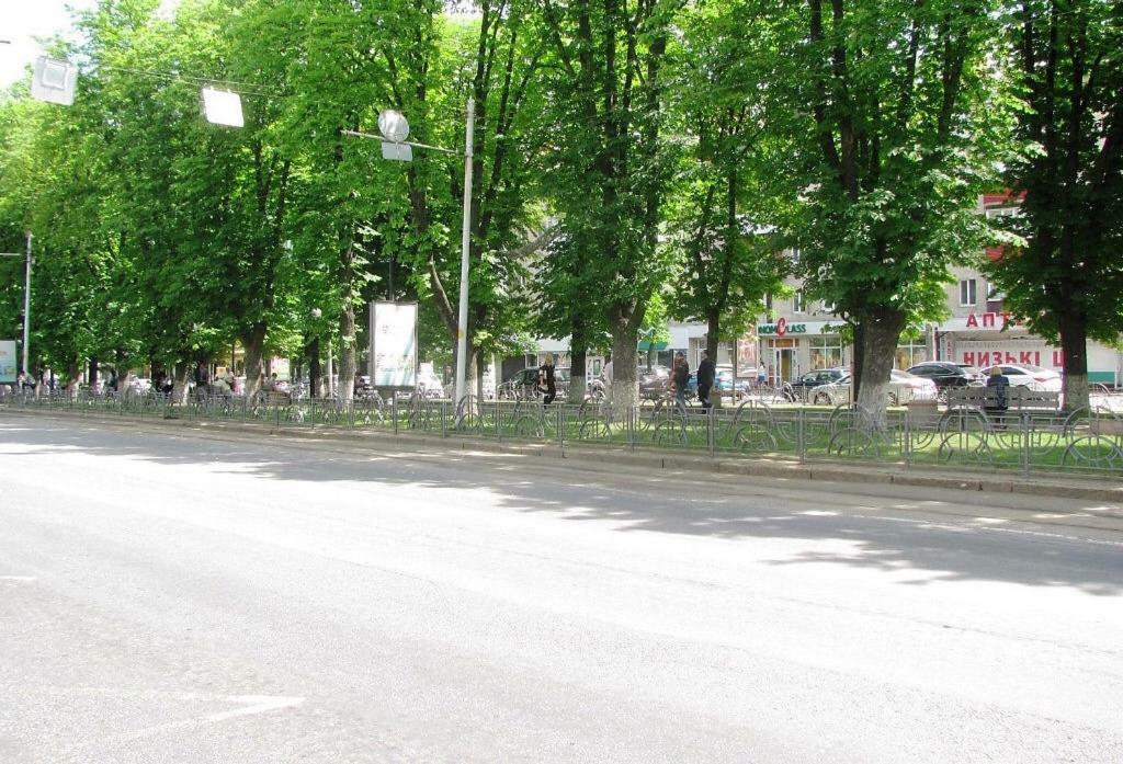 Apartment On Pyrohova 25 Vinnytsia Exteriör bild